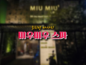 호치민 미우미우 스파