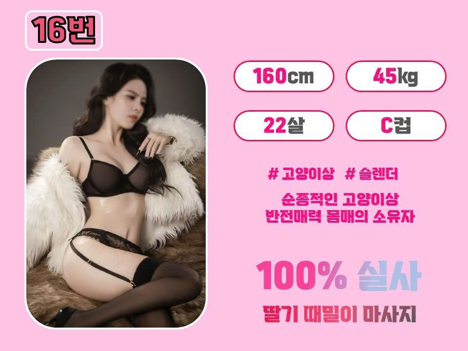 16번 관리사 프로필