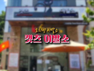 [7군 이발소] 호치민 캣츠 이발소